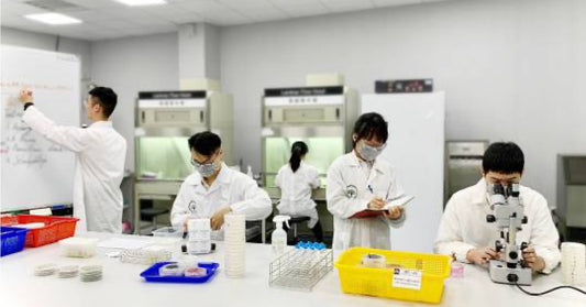 防霉界的隱型冠軍 優克美防霉技術大廠埋單