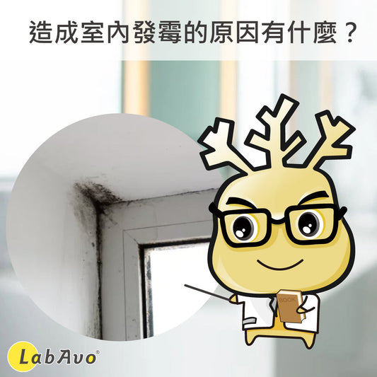 冬天到了最害怕室內發霉,造成的原因有哪些?
