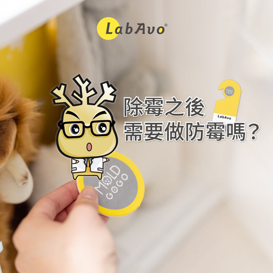 霉博士提醒大家:除霉之後也要做好防霉喔!