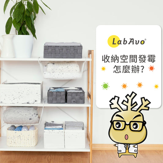 收納空間發霉該怎麼辦呢?