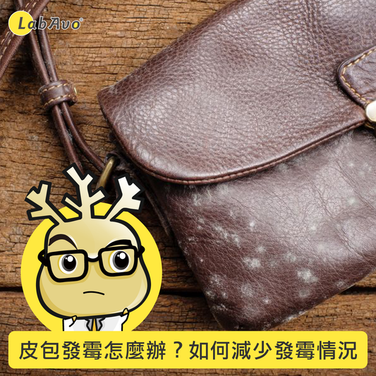 包包發霉怎麼辦?如何減少皮革包發霉的情況