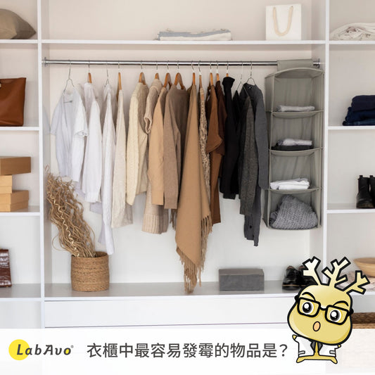 衣櫃中最容易發霉的物品是?