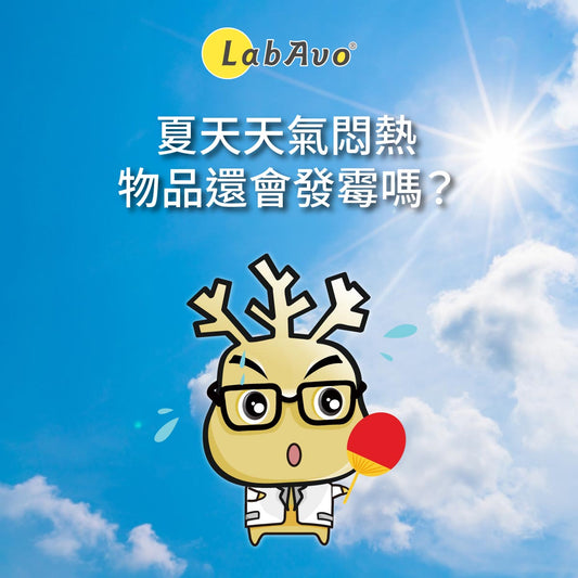 夏天天氣熱物品還會發霉嗎?為什麼?