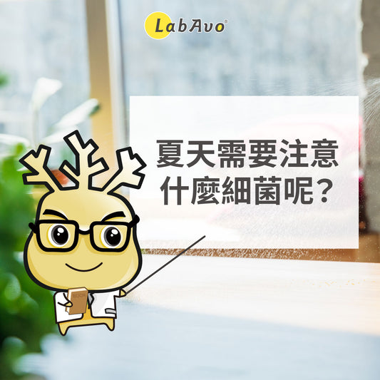 夏天需要注意什麼細菌呢?