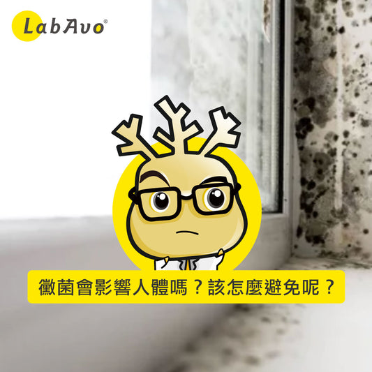 黴菌會影響人體嗎?該怎麼避免呢?