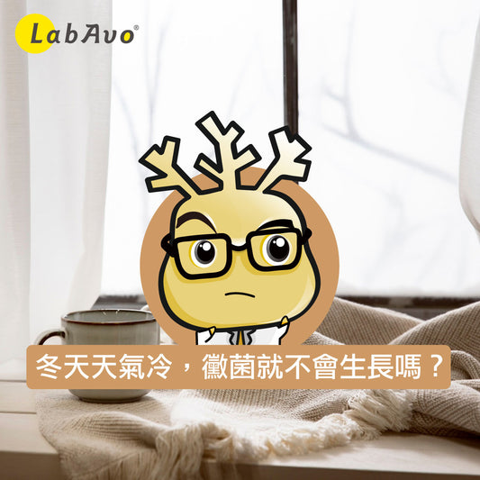 冬天天氣冷,黴菌就不會生長了嗎?