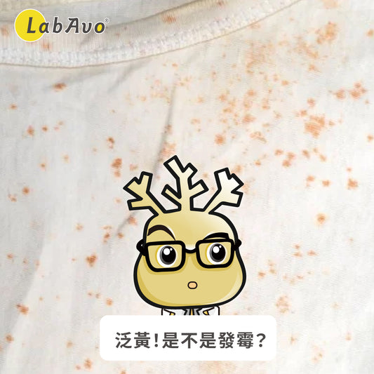 泛黃是不是發霉?