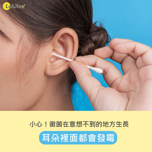 小心!黴菌可能在你意想不到的地方生長