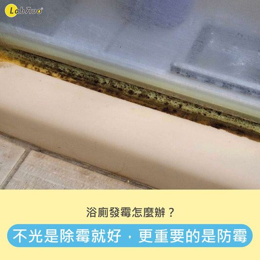 浴室發霉怎麼辦?不光是除霉就好,更重要的是防霉