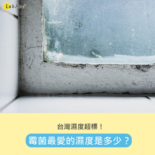 台灣濕度容易超標!濕度多少會發霉?5大秘訣輕鬆打造居家無霉環境