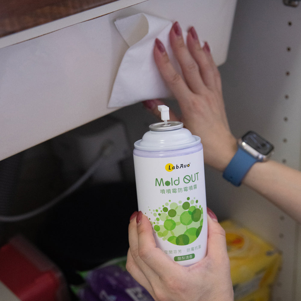 【換季臥室防霉】MoldOUT噴噴霉3罐+MoldGoGo防霉吊卡酪梨款4片