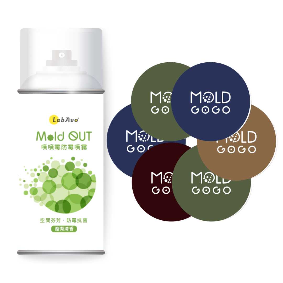 【小空間防霉組】租屋族首選 MoldOUT噴噴霉1罐+大圓卡6片