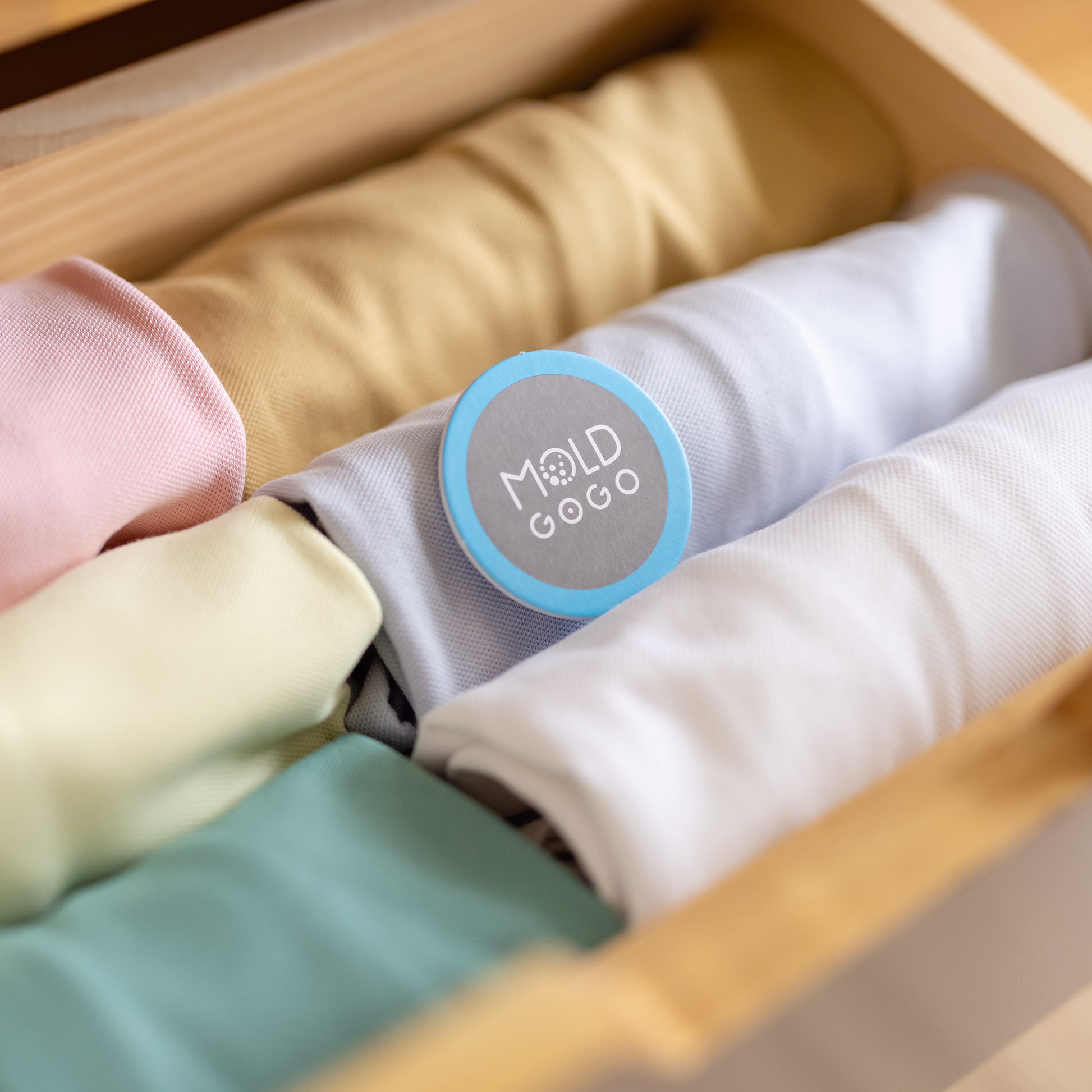 MoldGoGo防霉吊卡 Pantone款