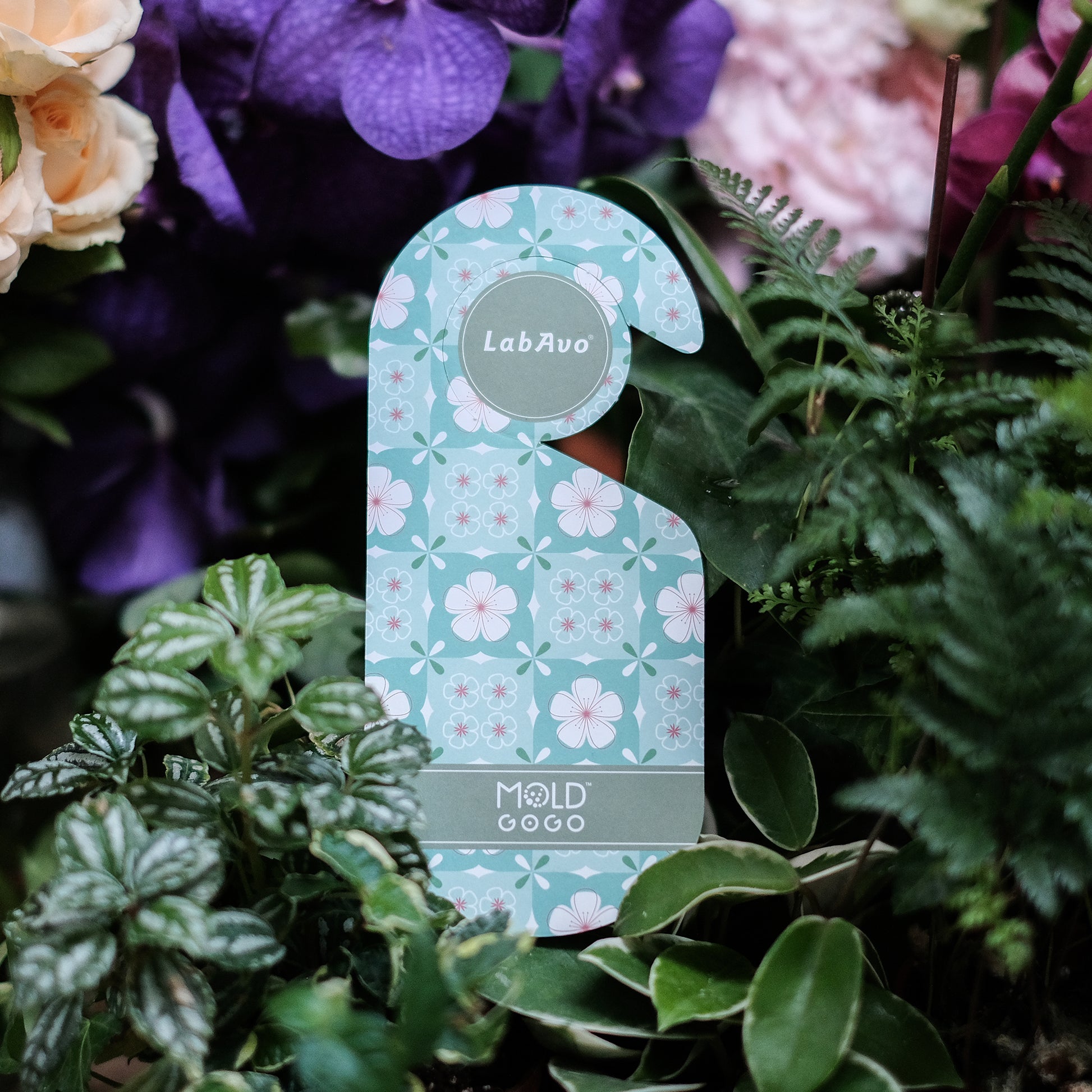 MoldGoGo防霉吊卡 花磚風格款-舒心油桐