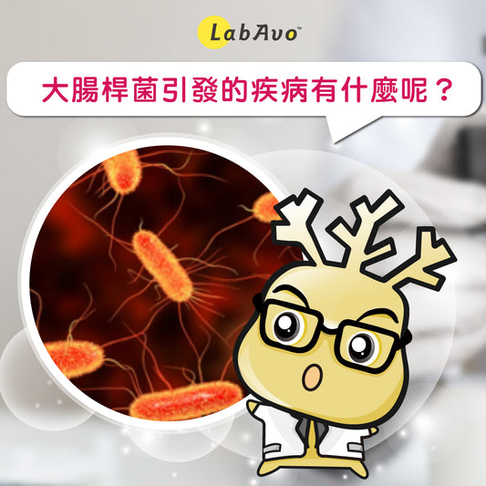 大腸桿菌引發的疾病有什麼呢？抗菌專家告訴你