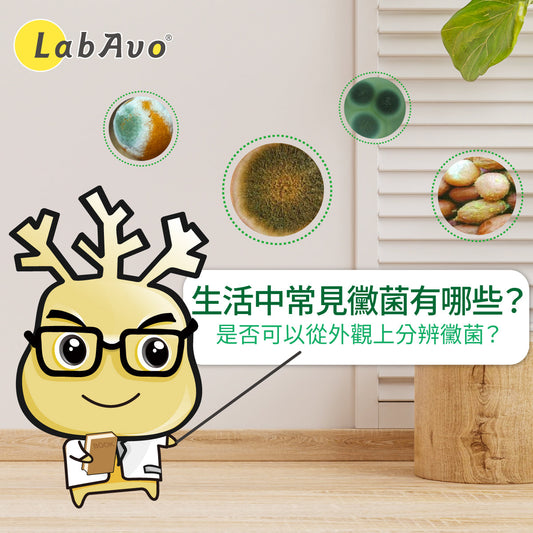 生活中常見黴菌有哪些？是否可以從外觀上分辨黴菌呢？