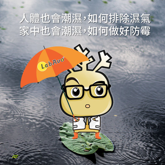 人體濕氣，該如何排除濕氣呢？另外家中濕氣重，如何做好防霉呢？