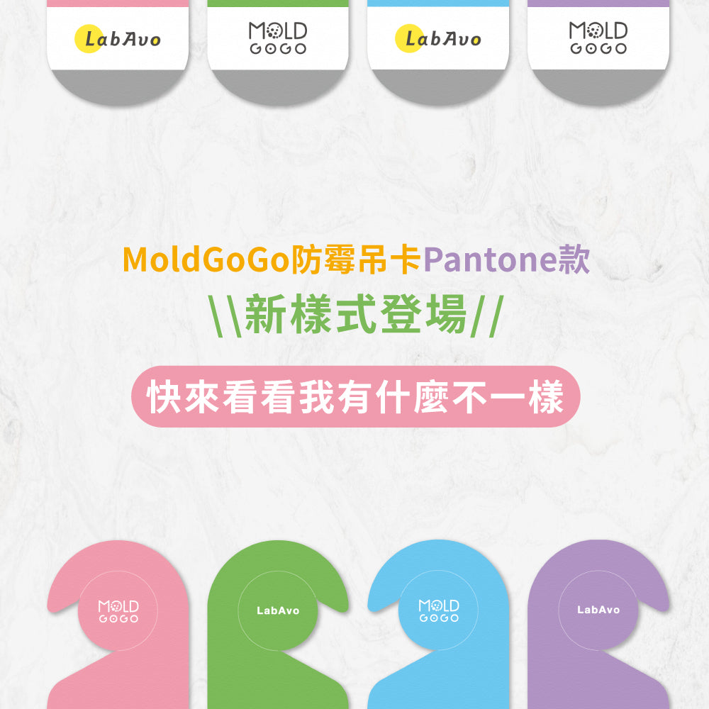 【新手入門禮包】 MoldGoGo防霉吊卡Pantone款2片+大圓卡3片 (款式顏色隨機)