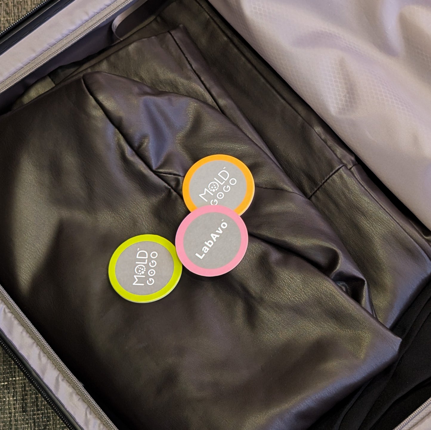 【換季衣物收納】MoldGoGo防霉吊卡Pantone款3入+大圓卡8入(顏色隨機)